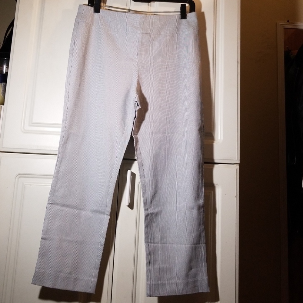 NWT Chico's  pant